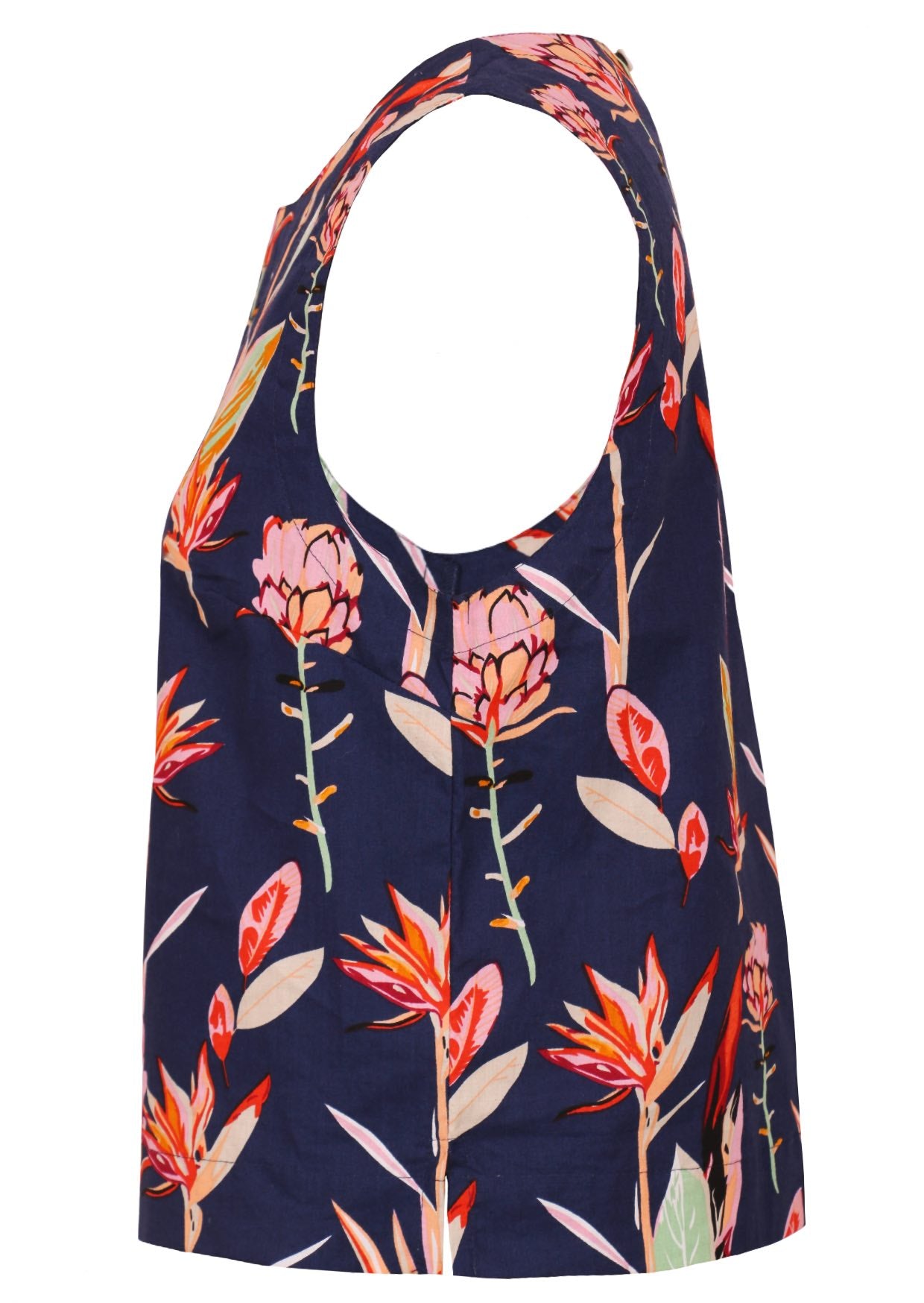 Boxy Top Bird of Paradise